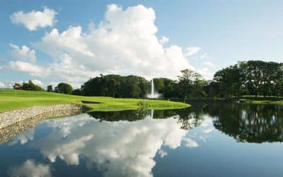 Timesheet – Luttrellstown Golf Club