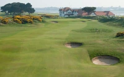 March 2023 Newsletter