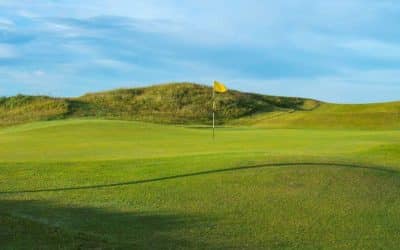 Application Forms for 2024