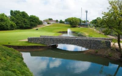 The Annual Strokeplay Cup & Gold Medal Winner 2023