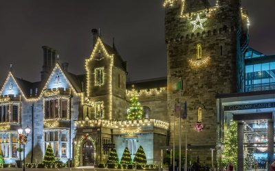 December 2023 Newsletter