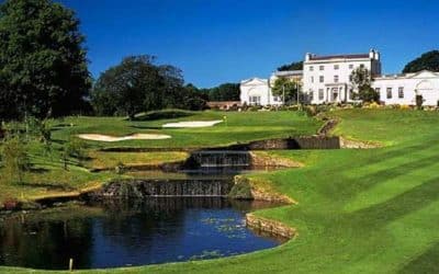 June 2024 Newsletter