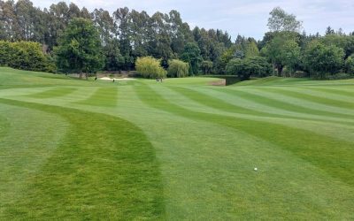 Handicaps after Druids Glen Golf Club Outing
