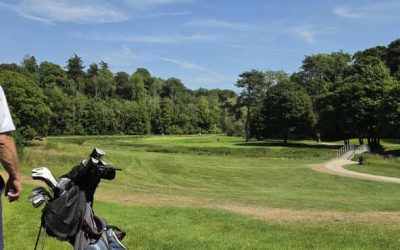 Handicaps after Carton House Outing