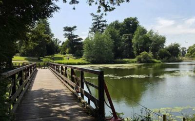 Carton House Outing Gallery