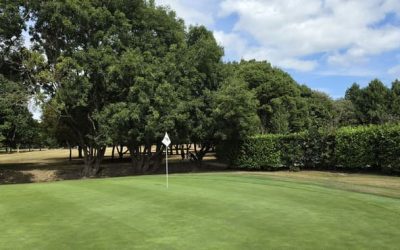 Handicaps After Captain’s Prize at Malahide Golf Club