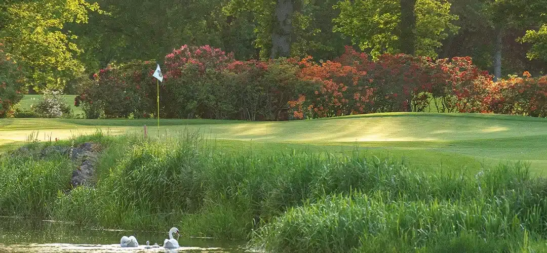 Timesheet for the K Club (Palmer North Course)