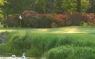 Timesheet for the K Club (Palmer North Course)